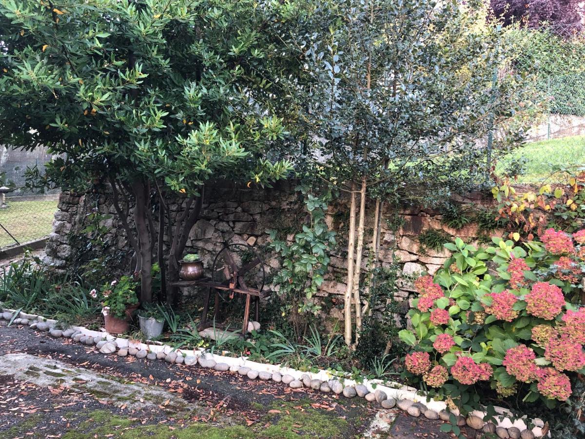La Casa Verde B&B Trivero Ngoại thất bức ảnh